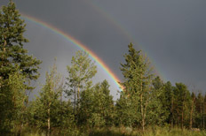 photo of rainbow